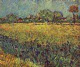 Vincent van Gogh View of Arles with Irises in the Foreground painting